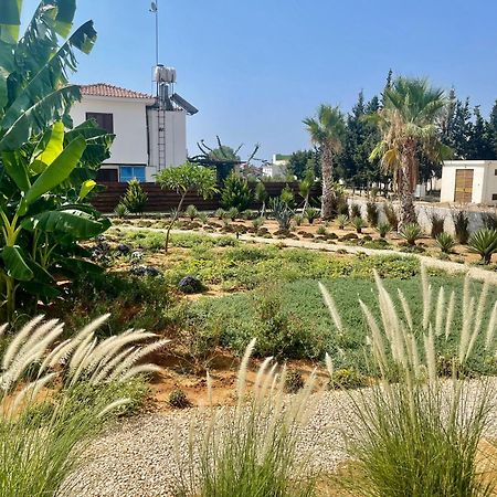 Sea View Suites By The Coast فاماغوستا المظهر الخارجي الصورة