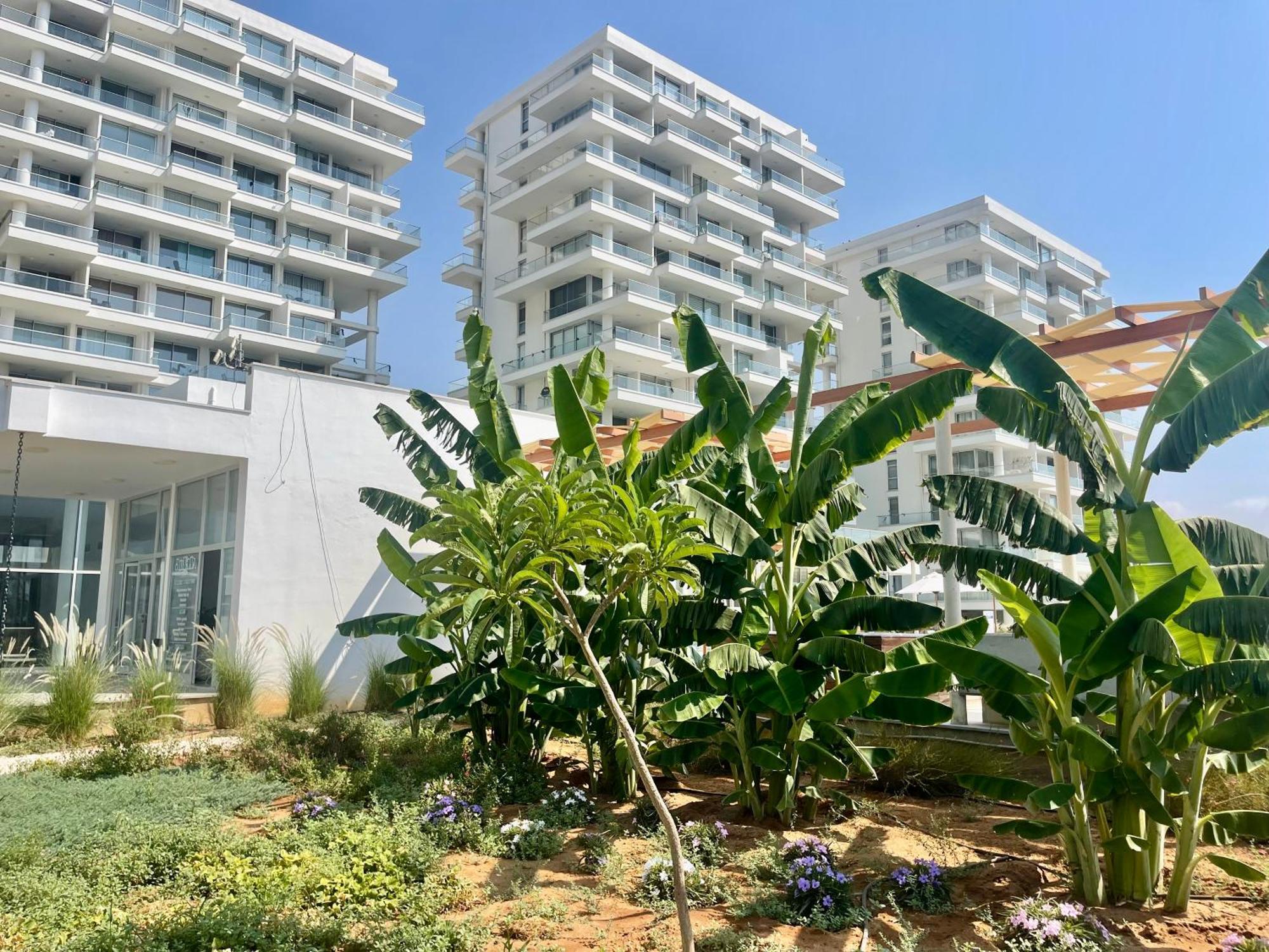 Sea View Suites By The Coast فاماغوستا المظهر الخارجي الصورة