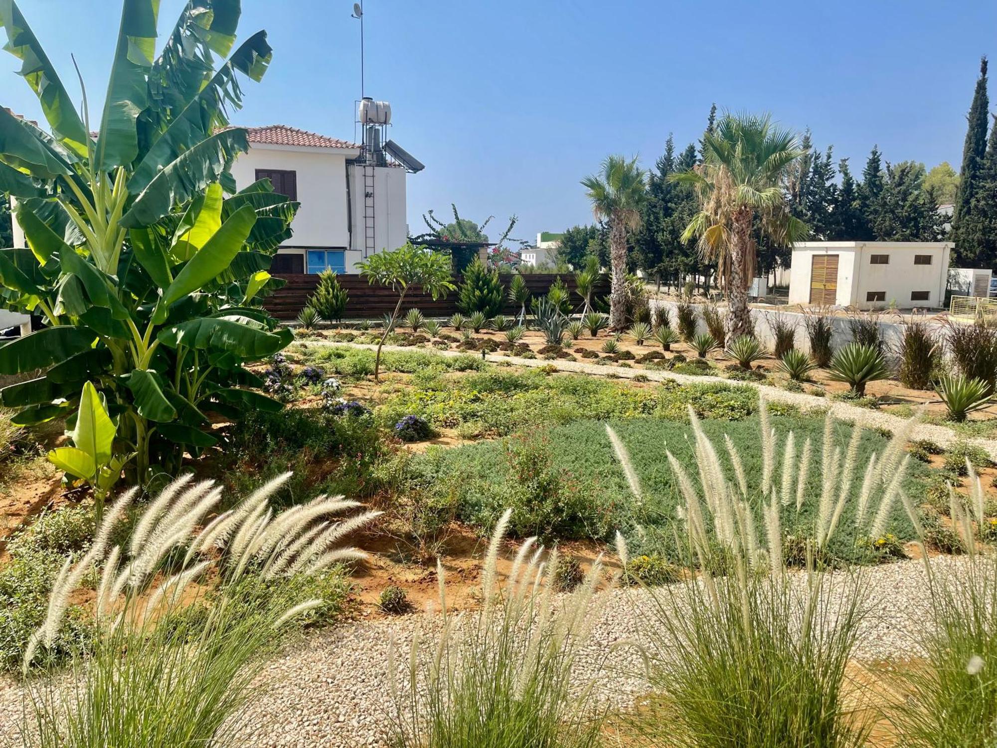 Sea View Suites By The Coast فاماغوستا المظهر الخارجي الصورة